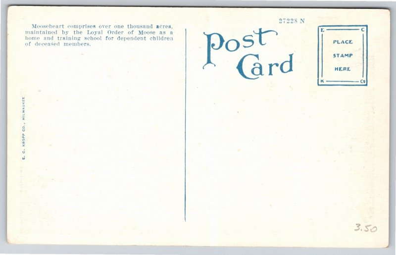 Dams~Moose Lake & Dam Mooseheart Aurora Illinois~Vintage Postcard