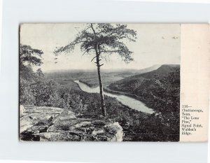 M-190654 The Lone Pine Signal Point Walden's Ridge Chattanooga Tennessee USA