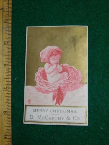 1870s-80s Merry Christmas D McCarthy Cherub in Nest Victorian Trade Card F36