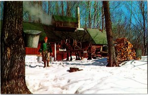 Maple Sugar Time in Vermont Vintage Chrome Postcard Y14