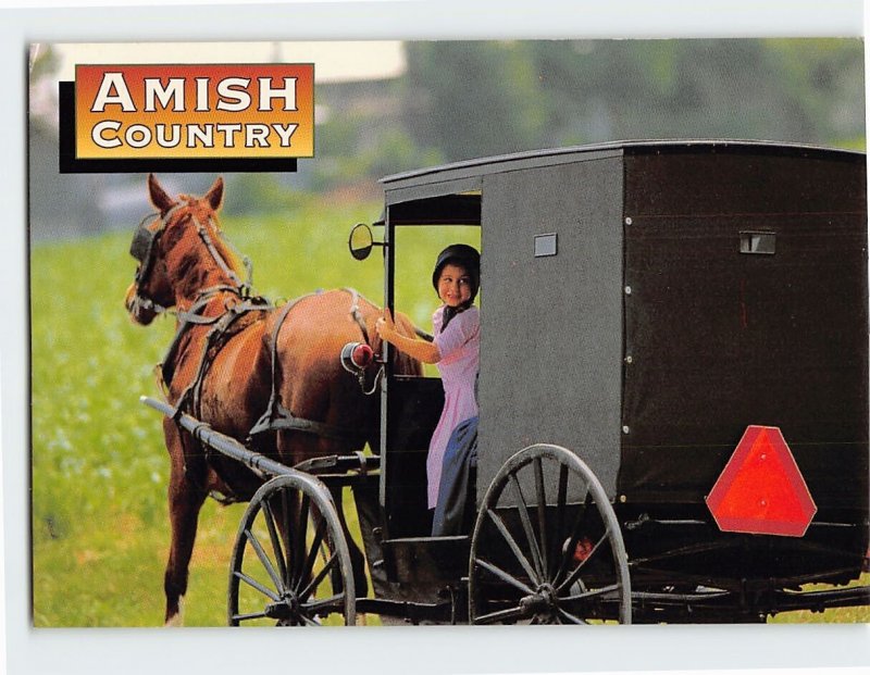 Postcard Buggy, Amish Country, Pennsylvania
