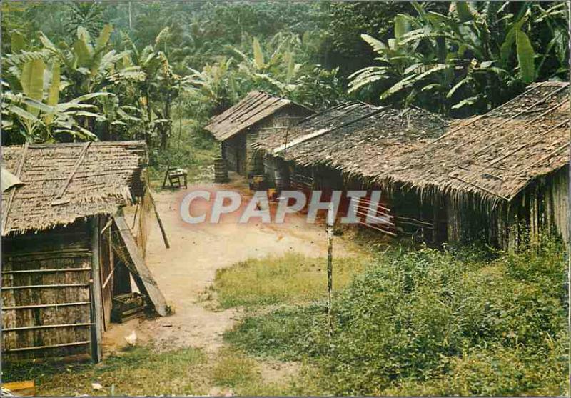  Modern Postcard Images of Gabon Camping in forest