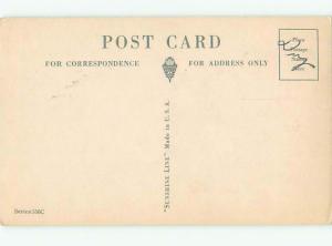 Pre-Linen KIDS PLAYING WITH CUTE KITTEN CAT AC5500