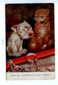 534427 STUDDY Comic Humor BONZO Dog & Angry CAT Valentine Vintage postcard