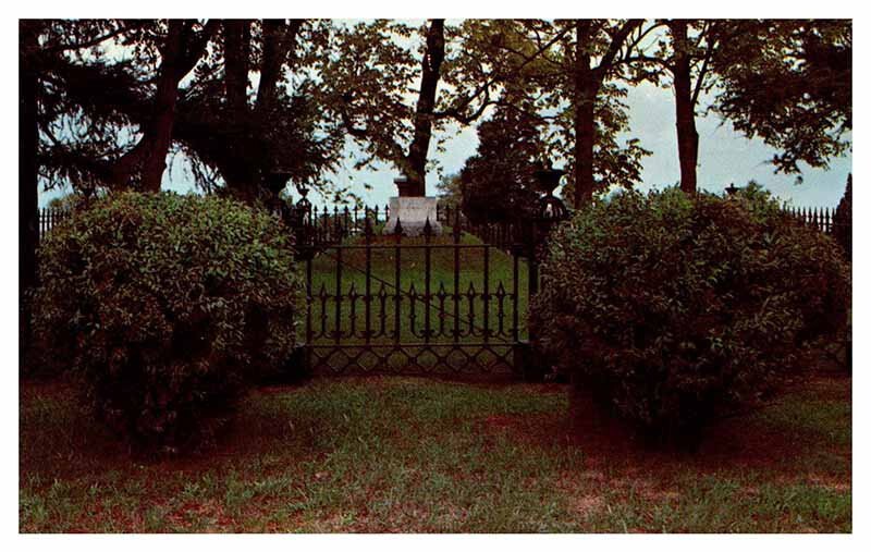 Postcard MONUMENT SCENE Marshfield Massachusetts MA AR3662