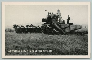 Eastern Oregon~Harvesting Wheat~Horse Team Pulls Old Combine~1940s B&W Postcard 