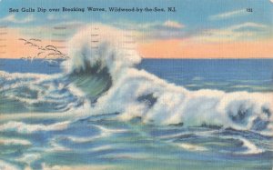 1954 Sea Gulls Breaking Waves Wildwood by The Sea N.J. Postcard 2R5-297