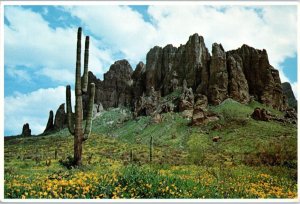 Superstition Mountain Mesa Arizona w Cactus Petley Postcard