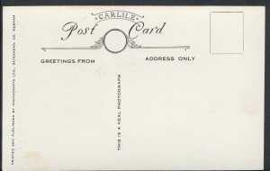 Northumberland Postcard - Waterfall, Jesmond Dene   DP732