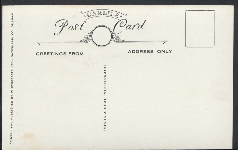 Northumberland Postcard - Waterfall, Jesmond Dene   DP732