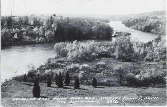 RP Muskegon River Below Harry Dam Newaygo County Michigan MI