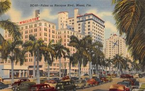 Palms on Biscayne Blvd. Miami, Florida