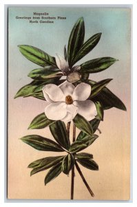 Magnolia Blossom Flower Greetings From Southern Pines NC UNP Linen Postcard V9