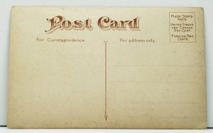 MA Rustic Bridge Whalom Park Massachusetts Postcard I14