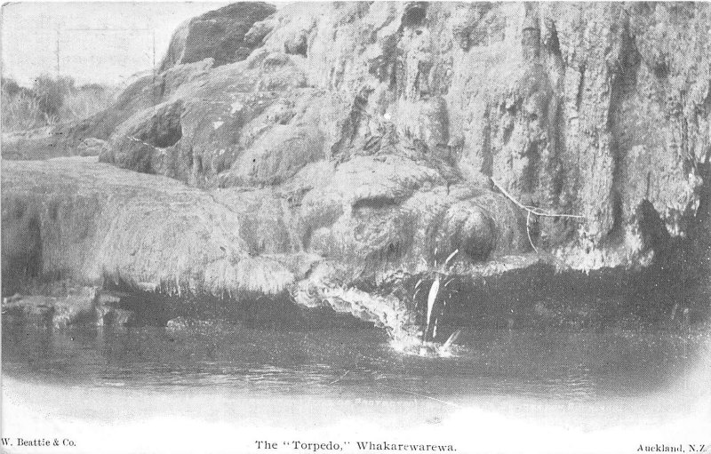 br106416 the torpedo whakarewarewa  new zealand