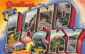 Greetings From Land of the Sky North Carolina Large Letter linen postcard