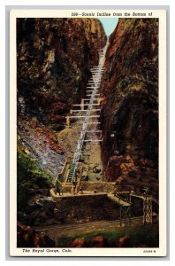 Postcard CO Scenic Incline The Royal Gorge Colorado Vintage Standard View Card