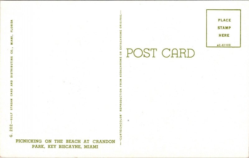 Picnicking Beach Crandon Park Key Biscayne Miami FL Florida Palms Postcard VTG 