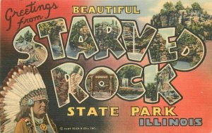 Star Rock State Park Illinois large letters multi View Teich postcard 21-5339