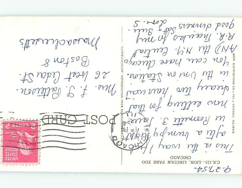 Chrome ZOO SCENE Chicago Illinois IL AG1744