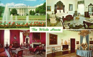 Vintage Postcard Views White House South Front Washington D.C. District Columbia