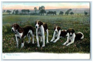 Foxhounds Dog Ready To Sport Animals Lunenburg Nova Scotia NS Postcard