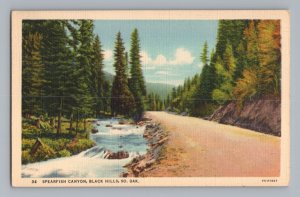 Spearfish Canyon Black Hills South Dakota Vintage Postcard 