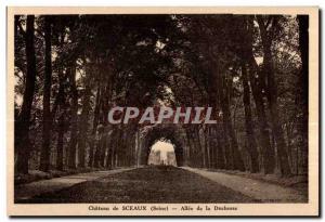 Old Postcard Chateau de Sceaux (Seine) Allee Duchess