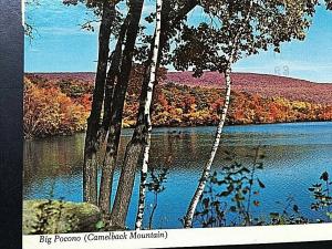 Postcard Big Pocono Camelback Mountain  in Tannersville, PA 4 x 6 .  T6