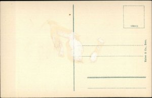 Swiss Army Uniform Gun Series 2 #4 c1910 Postcard SERVICE DE FRANCE