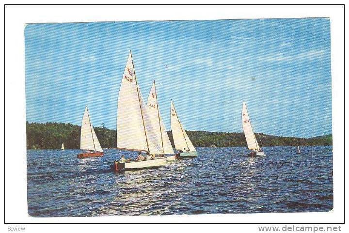 Race Day for Sailboats,40-60s