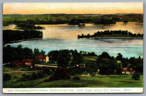 Postcard Webster MA c1910s Lake Chaubunagungamaug from Sugar Loaf Hill