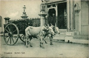 PC CPA SINGAPORE, BULLOCK CART, VINTAGE POSTCARD (b4208)