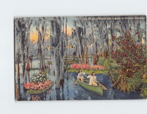 Postcard A Moss Festooned Lagoon at Dupree Gardens Land O Lakes Florida USA