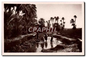 Old Postcard Scenes And Types In L & # 39Oasis