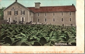 Brenneman Leaf Tobacco Millersville PA Pennsylvania 1910s Antique Postcard KJ7