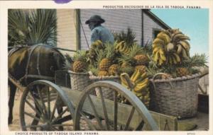 Panama Fruits & Horse Carts Choice Products Of Taboga Island