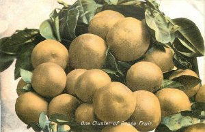 Postcard One cluster of grape fruit agriculture Citrus Farm Newman 23-4245