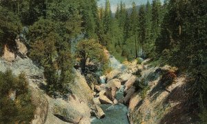 C.1920's Marble Fork, Sequoia National park, Tulare County, Cal. Postcard P122