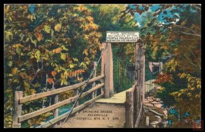 Swinging Bridge, Palenville, Catskill Mts. NY