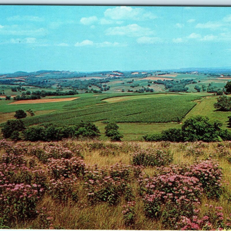 c1960s Highway 20 Illinois Scenic Outlook Elizabeth & Galena Photo Postcard A68