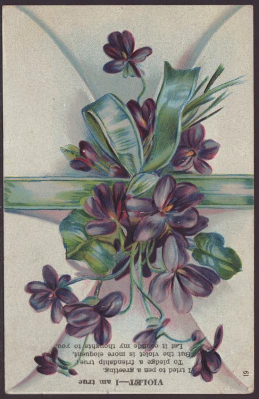 Violets Postcard