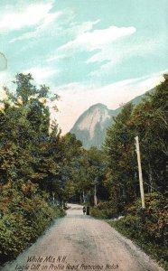 Vintage Postcard Eagle Cliff on Profile Road Franconia Notch White Mountains NH