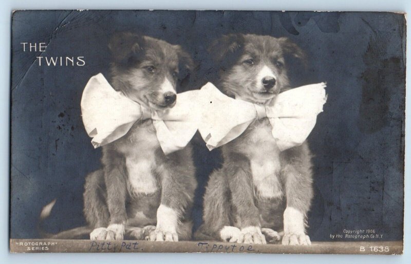 Jefferson Iowa IA Postcard RPPC Photo The Twins Cute Dogs With Bow 1907 Antoqie