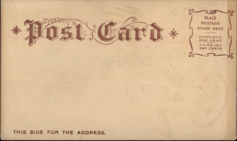 Monkey & Parrot Bird Fighting c1905 Arthur Livingston Comic Postcard