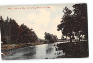 Oneonta New Yokr NY Damaged Postcard 1908 Otego Creek