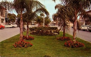 Florida Venice View Along Venice Avenue