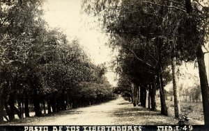 colombia, MEDELLIN, Paseo de los Libertadores (1910s) Obando RPPC Postcard