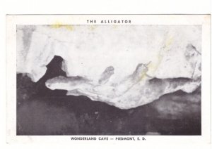 The Alligator, Wonderland Cave Piedmont, South Dakota Vintage Postcard