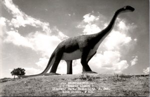 Real Photo PC Brontosaurus Thunder Lizard Dinosaur Park Rapid City, South Dakota
